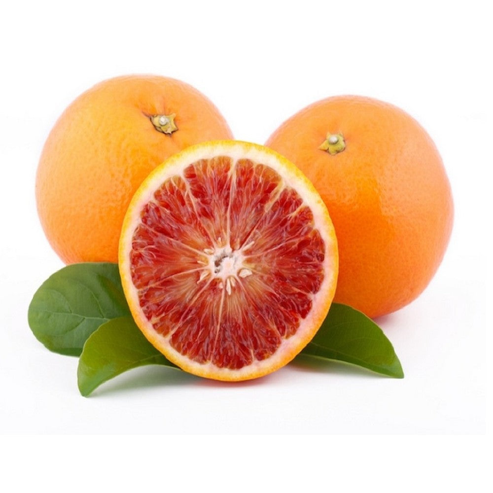Pianta di arancio tarocco sanguinello arancia rossa di sicilia in vaso 18 cm