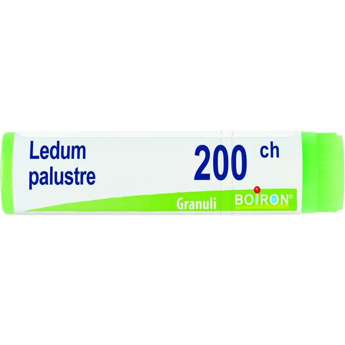 Boiron ledum palust 200ch gl