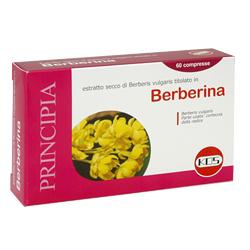 Kos berberina estratto secco 60 cps