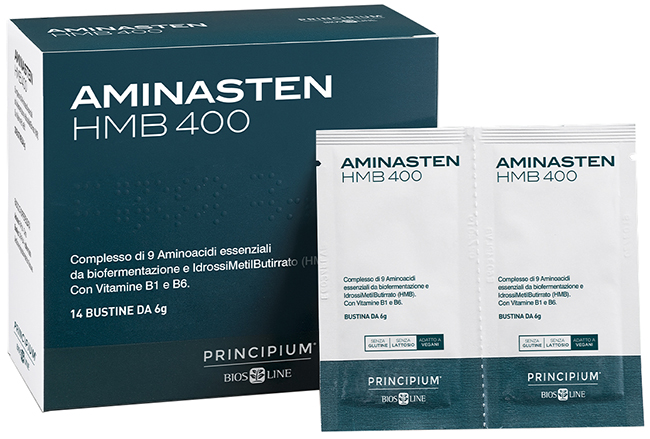 Principium aminasten hmb400 14