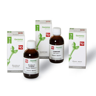 Ginkgo biloba mg 50ml bio