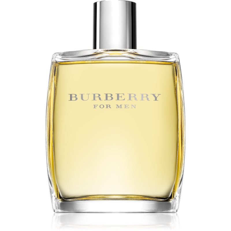 Burberry Burberry For Men Eau De Toilette Per Uomo 100 Ml