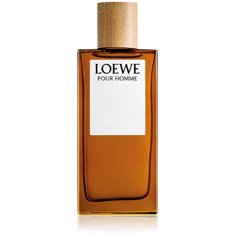 Loewe Loewe Pour Homme Eau De Toilette Per Uomo 100 Ml