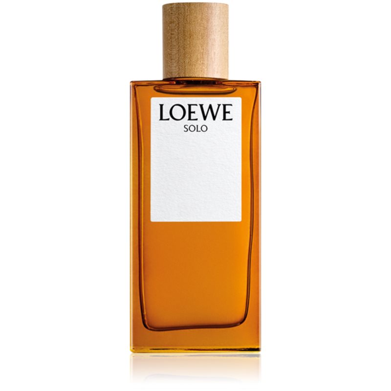 Loewe Solo Eau De Toilette Per Uomo 100 Ml