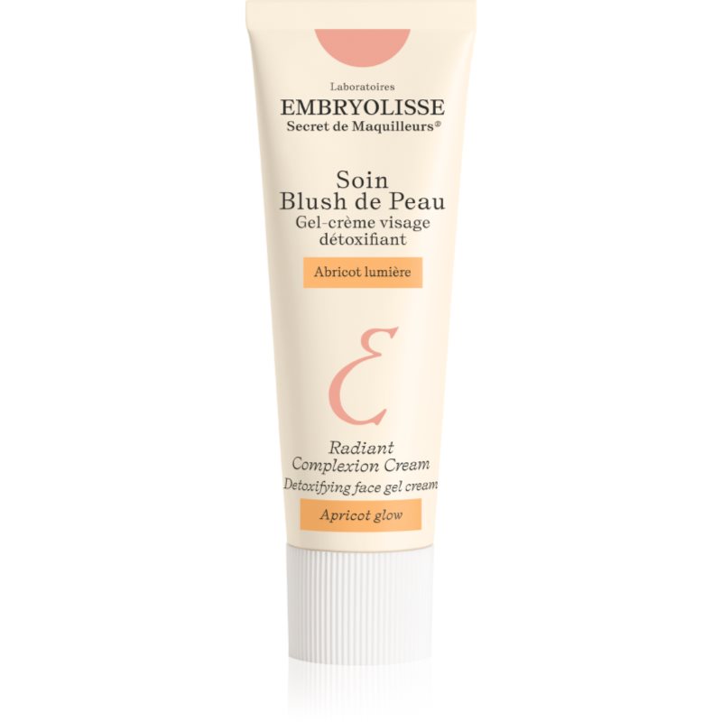 Embryolisse Artist Secret Crema Giorno Illuminante Con Effetto Disintossicante 30 Ml