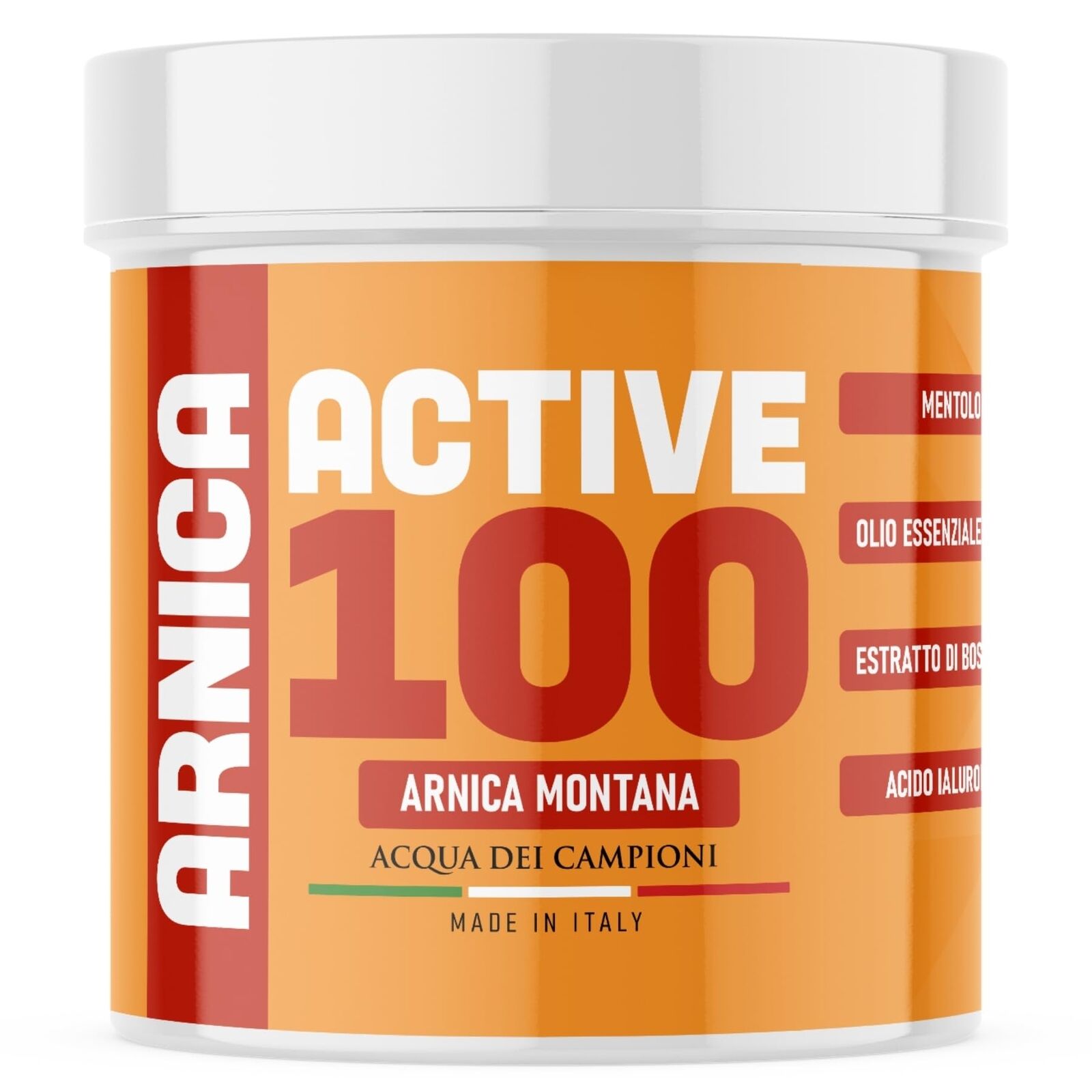 Active 100 Crema Arnica per Cavalli Uso Umano Extra Forte 600 ml, Pomata (s9t)