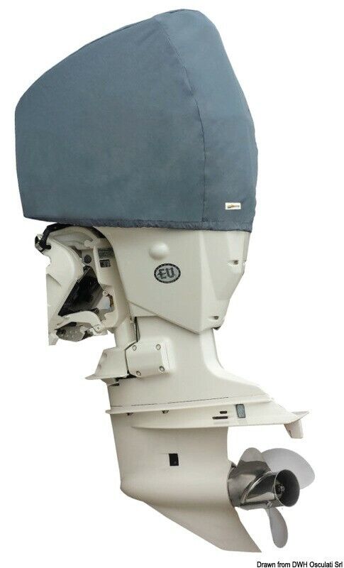 Coprimotore Evinrude Sartoriale   46.543.06