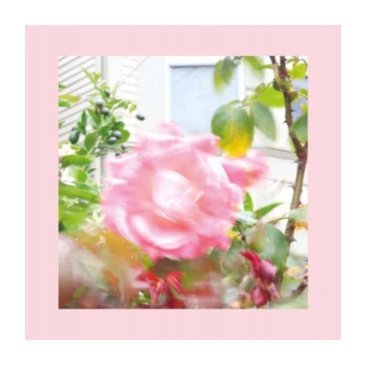 Reds Pinks and Purples Reds. Pinks and Purples: Summer At Lands End CD TLV142CD