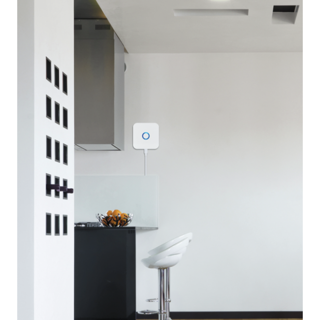 Gateway Z-Wave Plus di seconda generazione ZIGBEE WIFI USB