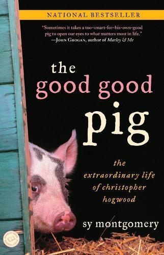Sy Montgomery The Good Good Pig (Tascabile)