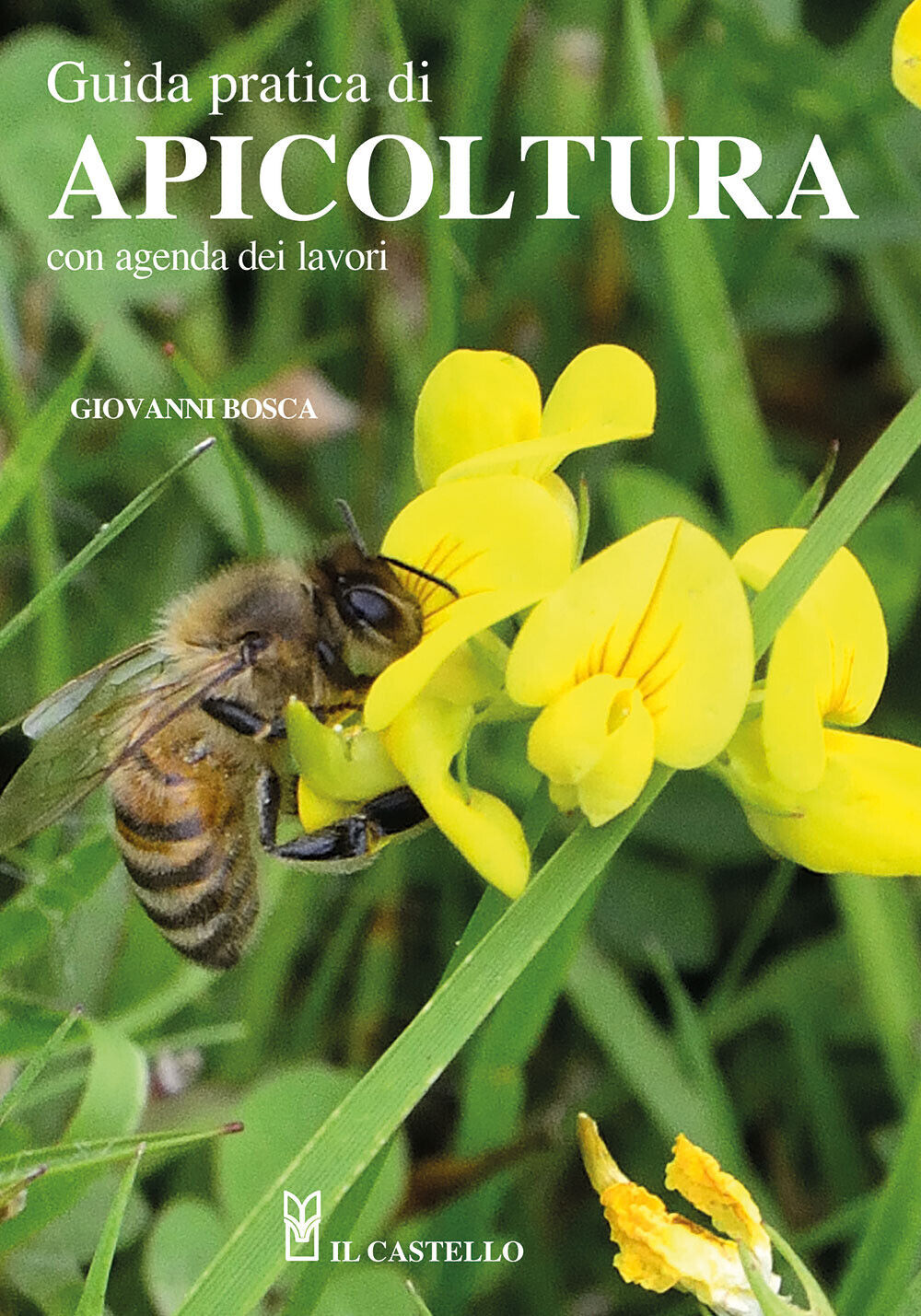 Guida pratica di apicoltura. Con agenda dei lavori - Bosca Giovanni