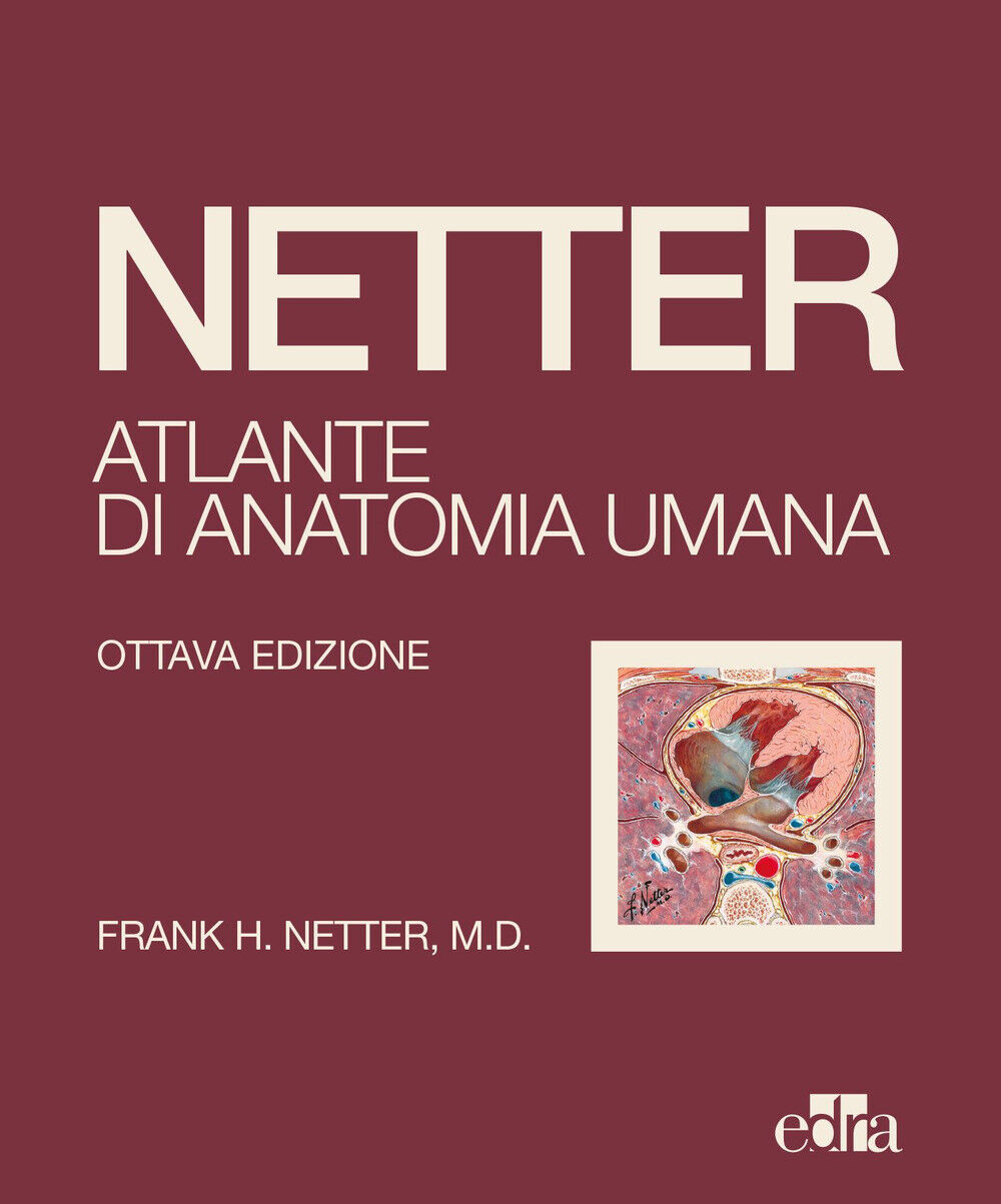 Netter. Atlante di anatomia umana - Netter Frank H.