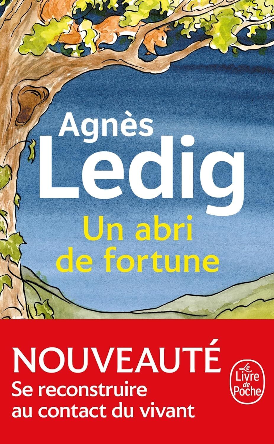 9782253248460 Un abri de fortune: Roman
