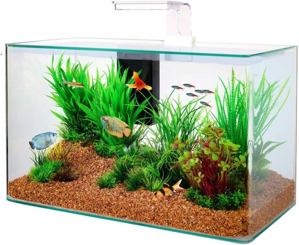 Acquario Zolux Aqua Clear 50 32 Litri Pesci Tropicali Acqua Dolce Pesci Rossi