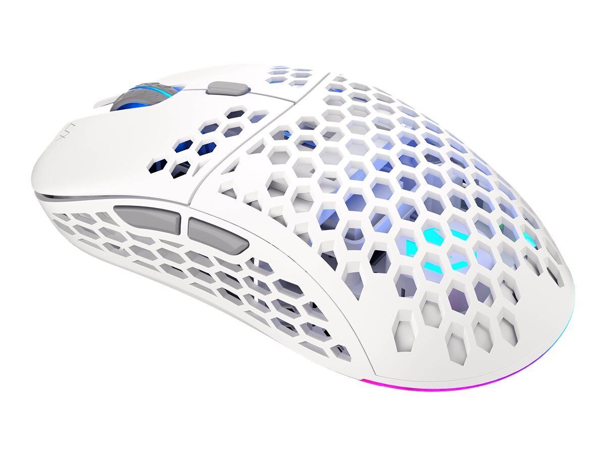 Endorfy LIX Onyx Mouse optical 6 buttons wireless 2.4 GHz USB wireless EY6A010