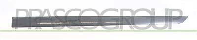 Modanatura Porta Anteriore Sx Con Primer OPEL/VAUXHALL ASTRA H (A04) 2004-2006