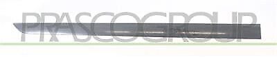 Modanatura Porta Anteriore Dx Con Primer OPEL/VAUXHALL ASTRA H (A04) 2004-2006