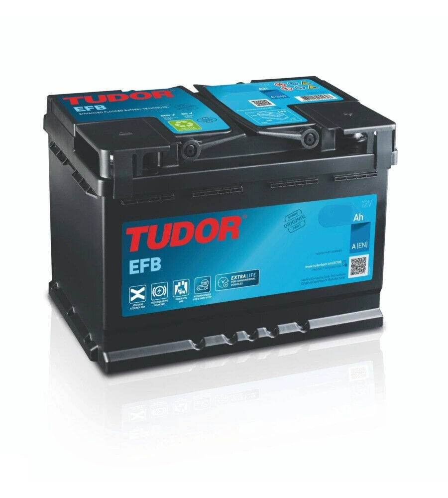 BATTERIA TUDOR TL954 START-STOP 12V EFB 95AH DX SPUNTO 800 - L306 x H222 x P173.