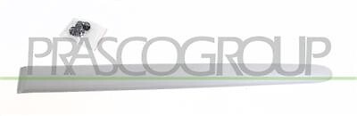 Modanatura Porta Posteriore Sinistra PEUGEOT 206 PLUS 2009-2013 SINISTRO 8546K9