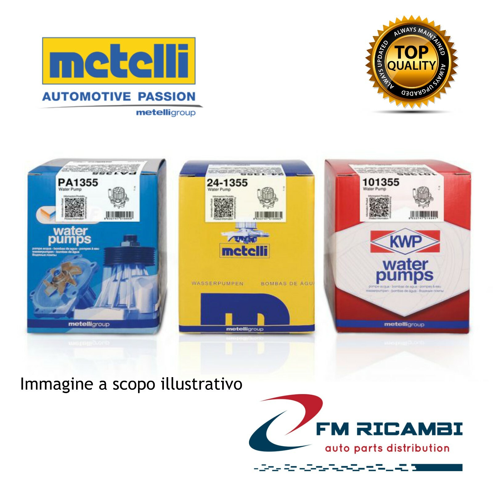 24-0816 METELLI POMPA ACQUA CARNIVAL 2.9 TD-CRDI