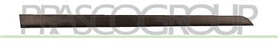 Modanatura Porta Anteriore Destra Per OPEL/VAUXHALL ASTRA H (A04) 2004-2006 DX