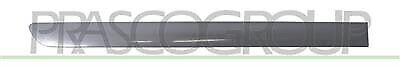 Modanatura Porta Posteriore Destra Per VOLKSWAGEN GOLF PLUS 2005-2009 DESTRO