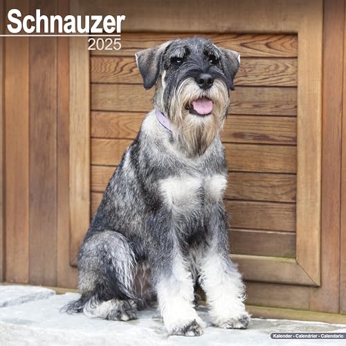 Schnauzer (Euro) 2025 Square Wall Calendar | Dog Breed Calendar