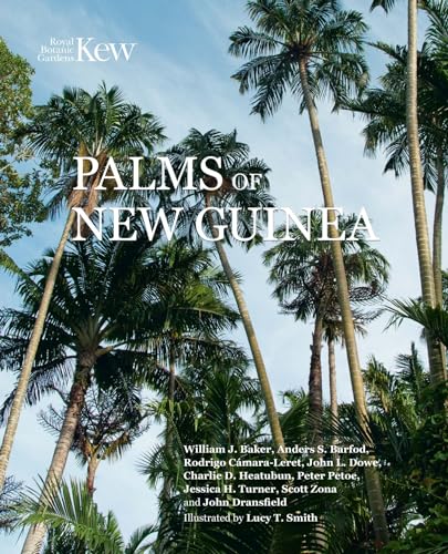 The Palms Of New Guinea