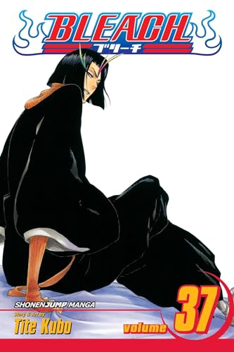 Viz Bleach Vol. 37 Paperback Manga: Beauty Is So Solitary