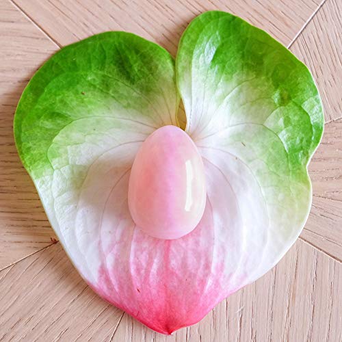 Oeufs-De-Yoni. Com Uovo Di Yoni In Quarzo Rosa – Grande – Non Forato