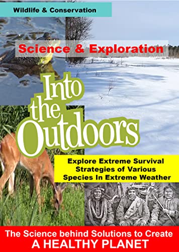 Explore Extreme Survival Strategies Of Various Species In Extreme Weather