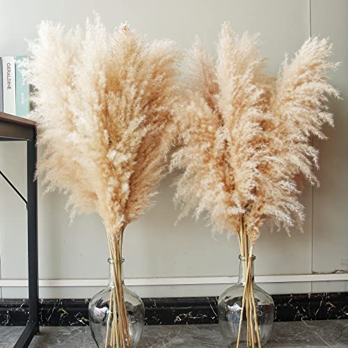 10 Pezzi Di Erba Di Pampa Grande, Erba Di Pampa Xxl,Grande Decorazione Di Erba Di Pampa Per La Decorazione Boho Del Salotto, Del Tavolo, Della Camera