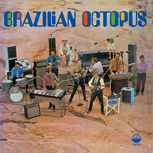 Brazilian Octopus