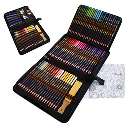 Zeybe Matite Colorate Per Adulti, 96Pcs Professionali Matite Colorate Artistico Kit Per Schizzo E Disegno, Ideali Per Colorare,Disegnare, Astuccio Can
