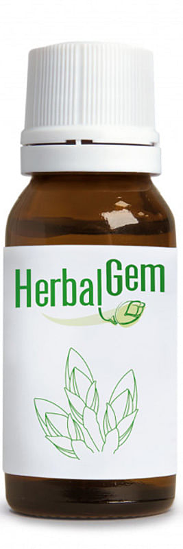 Herbalgem Fum Bio Sciroppo 250 Ml