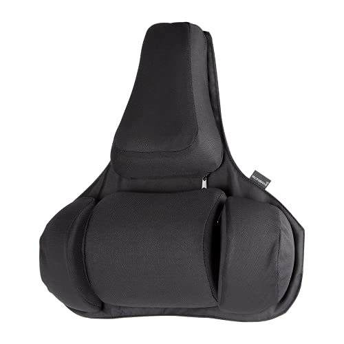 Fellowes Support Dorsal Premium Professional Series, Soutien Lombaire Ergonomique, Mousse En Mémoire De Forme, Protection Antibactérienne Microban, No