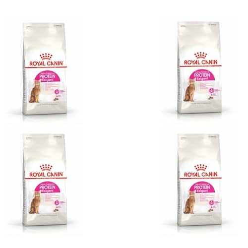 Royal Canin Protein Exigent | Confezione Da 4 | 4 X 400 G | Alimento Completo Per Gatti Particolarmente Esigenti A Partire Da 12 Mesi Di Età | Contien