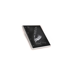 Quaderni spiralati Pigna Mont Blanc-ass-rigatura 5 mm-100 ff-conf.5