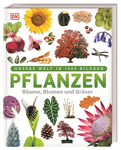 Pflanzen: Bäume, Blumen Und Gräser