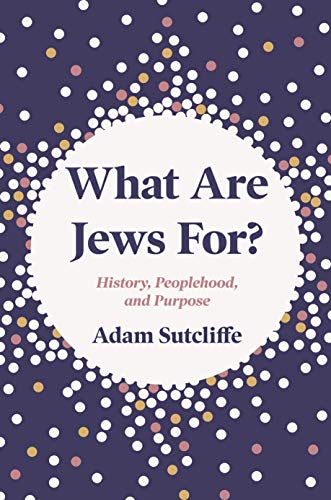What Are Jews For?: History, Peoplehood And Purpose