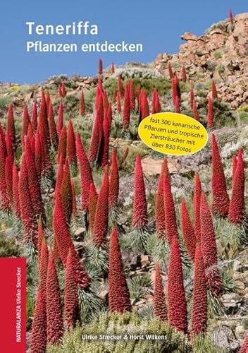 Teneriffa: Pflanzen Entdecken