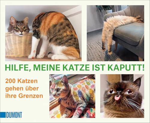 Hilfe, Meine Katze Ist Kaputt: 200 Katzen Gehen Über Ihre Grenzen