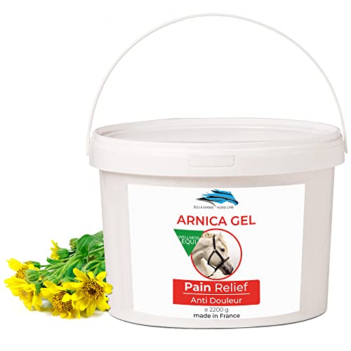 Arnica Gel Forte & Concentrato 90% Di Estratto Di Arnica Bio Da Agricoltura Biologica. Gel Massaggi Muscolari E Articolari. Idratante Per La Pelle - 2