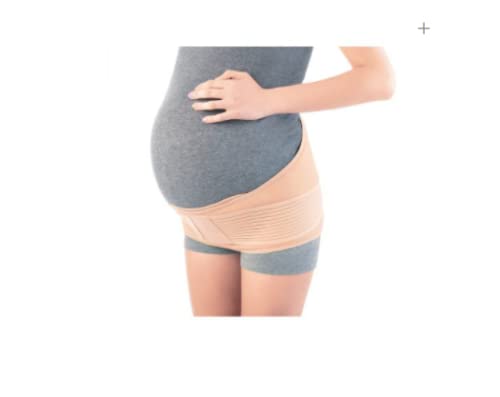 Noton Actius Faja Gravidanzata