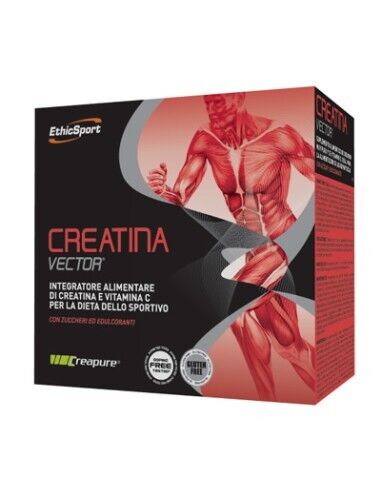 CREATINA VECT20BUST ETICHSPORT