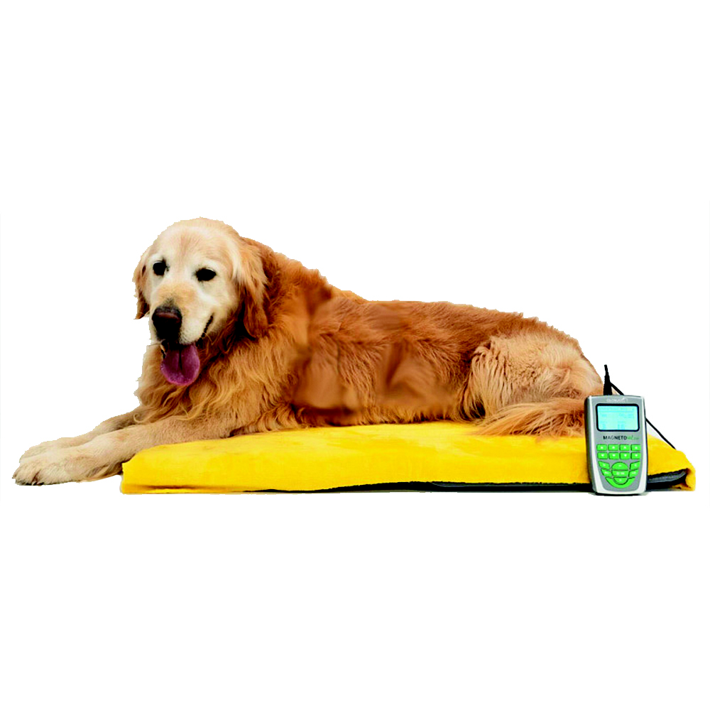 Globus Magnetoterapia Veterinaria Magnetovet 200 con cuccia portatile Bianco