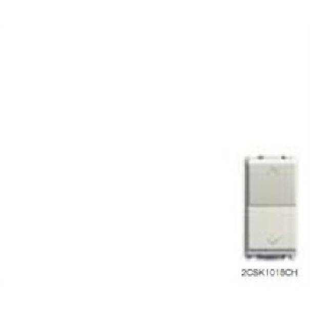 ABB CHIARA PULSANTE 250V DOPPIO SALI SCENDI 2CSK1018CH
