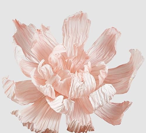 Edg Enzo De Gasperi Enzo De Gasperi Peonia Jumbo Da Appendere H 90 Cm D 160 Cm Rosy Peach
