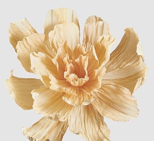 Edg Enzo De Gasperi Enzo De Gasperi Peonia Jumbo Da Appendere H 90 Cm D 160 Cm Yellow Orange