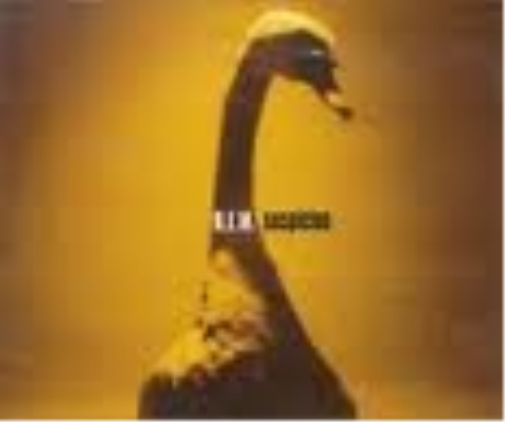 Rem Suspicion (CD)